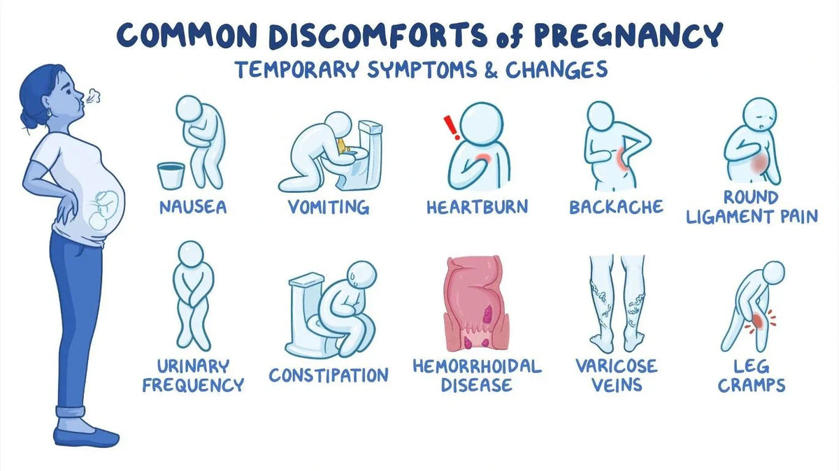 Navigating the Initial Trimester - Insights into Changes, Care, and Medical Guidance