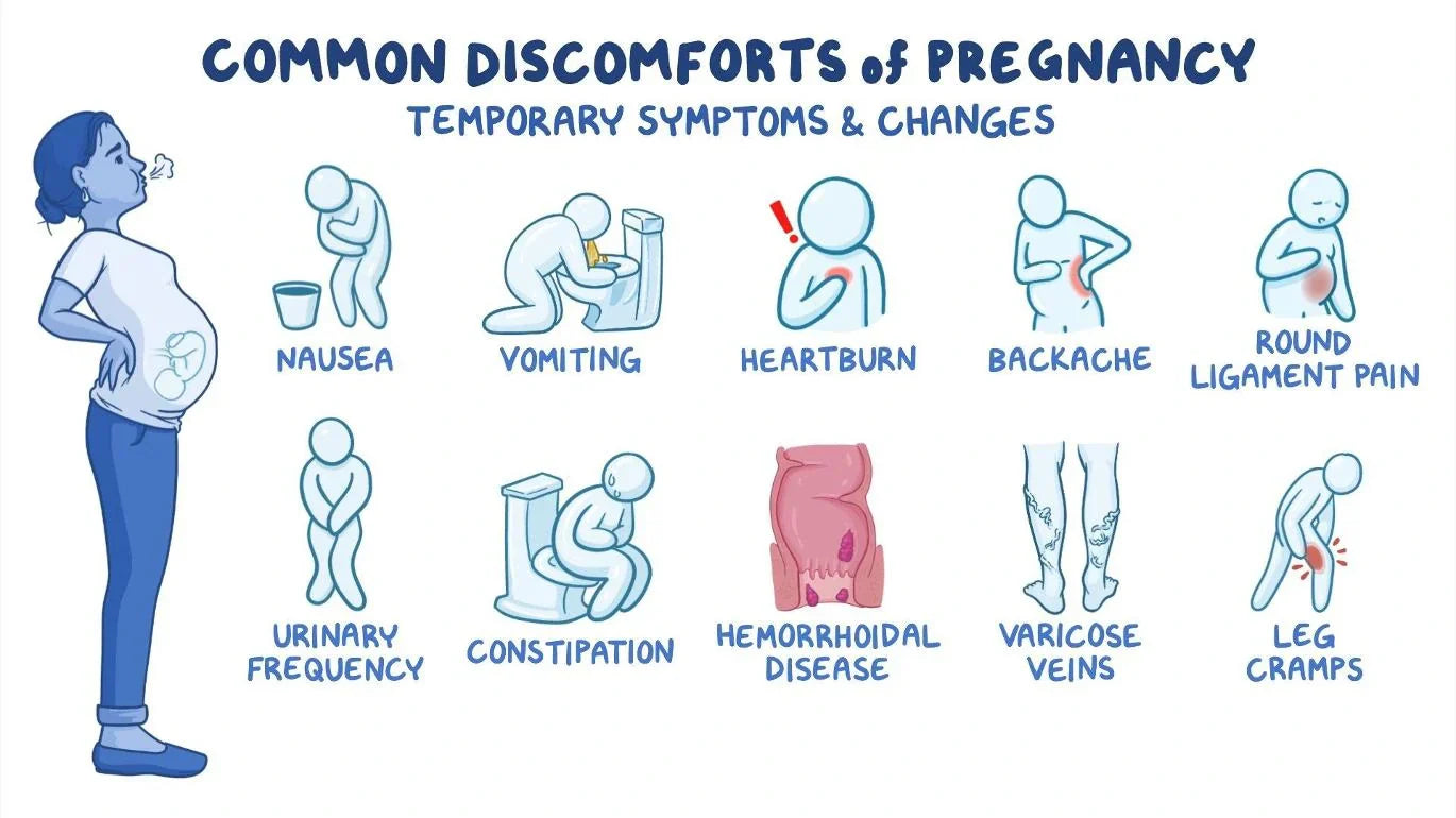 Navigating the Initial Trimester - Insights into Changes, Care, and Medical Guidance