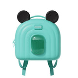 mickey mouse bag green