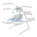 Musical Vibrating Bouncer