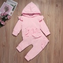Toddler Baby Girls Long Sleeve Hooded Tracksuit Set Outfit Clothes Winter